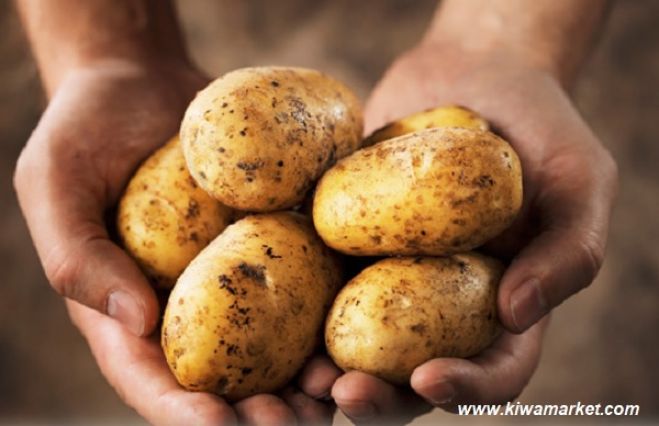 Как правильно обращаться с картофелем по версии Роскачества
