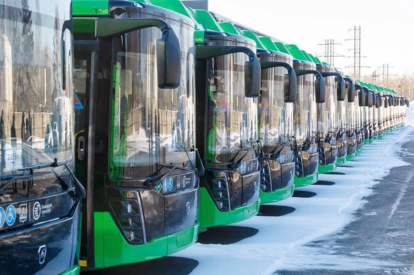 На маршруты Тюмени выйдут 80 новых автобусов