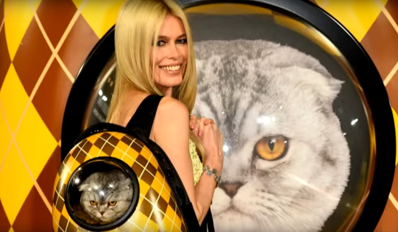 Клаудия Шиффер вышла в свет с домашним котом
